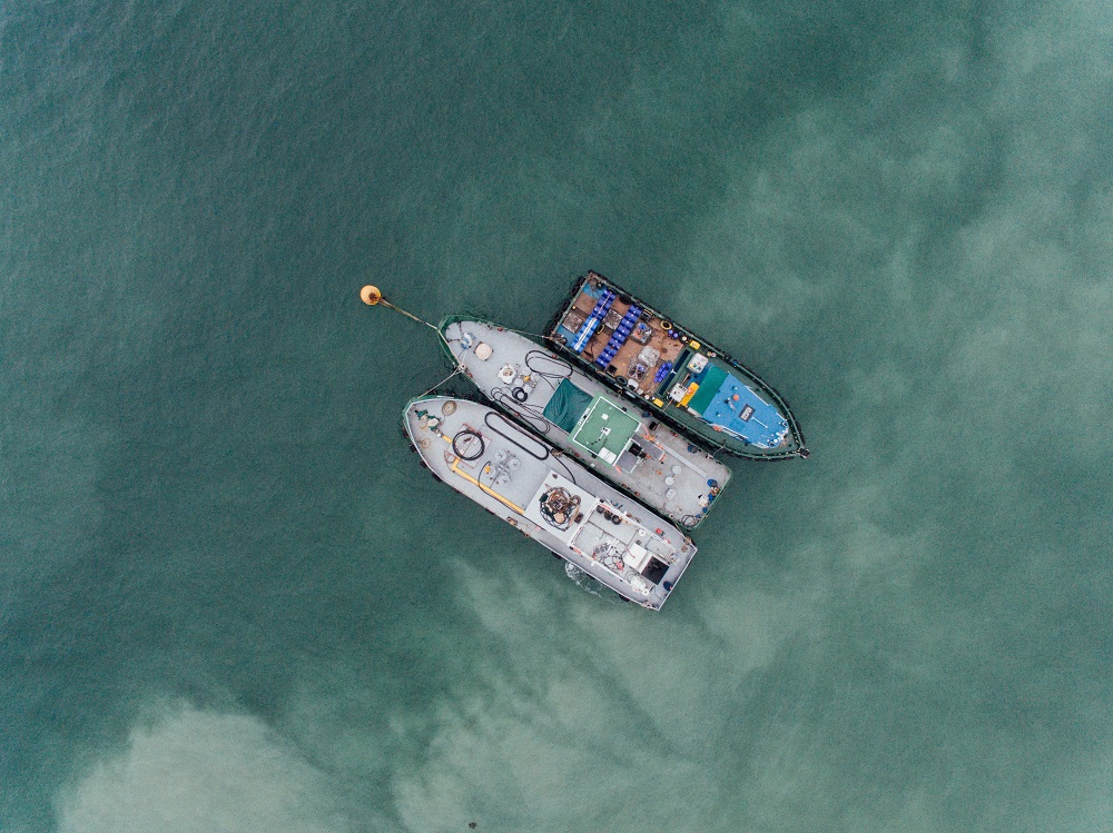 boats