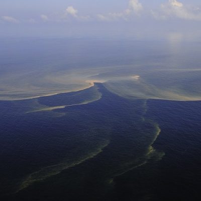 Route du Rhum: Drifting Sargassum located from space