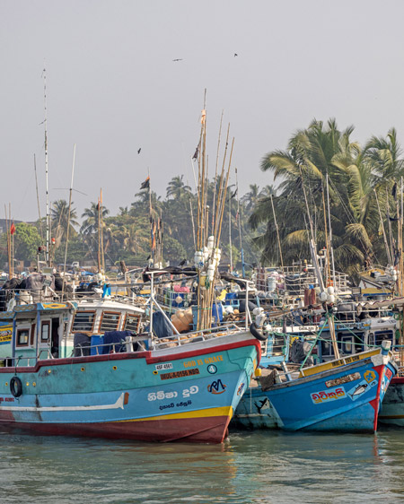 Sri Lanka